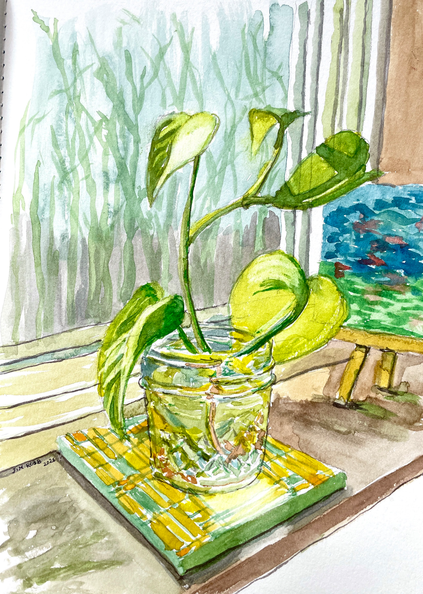 Plant on windowsill